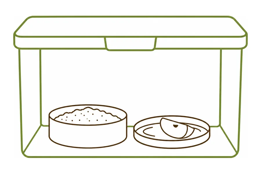 Dentro de la caja, un plato bajito con alimento y una tapa plástica con agua y un pedazo de manzana.